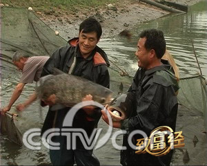 致富经养鱼视频大全集_致富养鱼视频_养鱼致富经