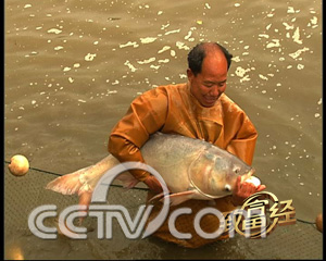 养鱼致富经_致富养鱼视频_致富经养鱼视频大全集