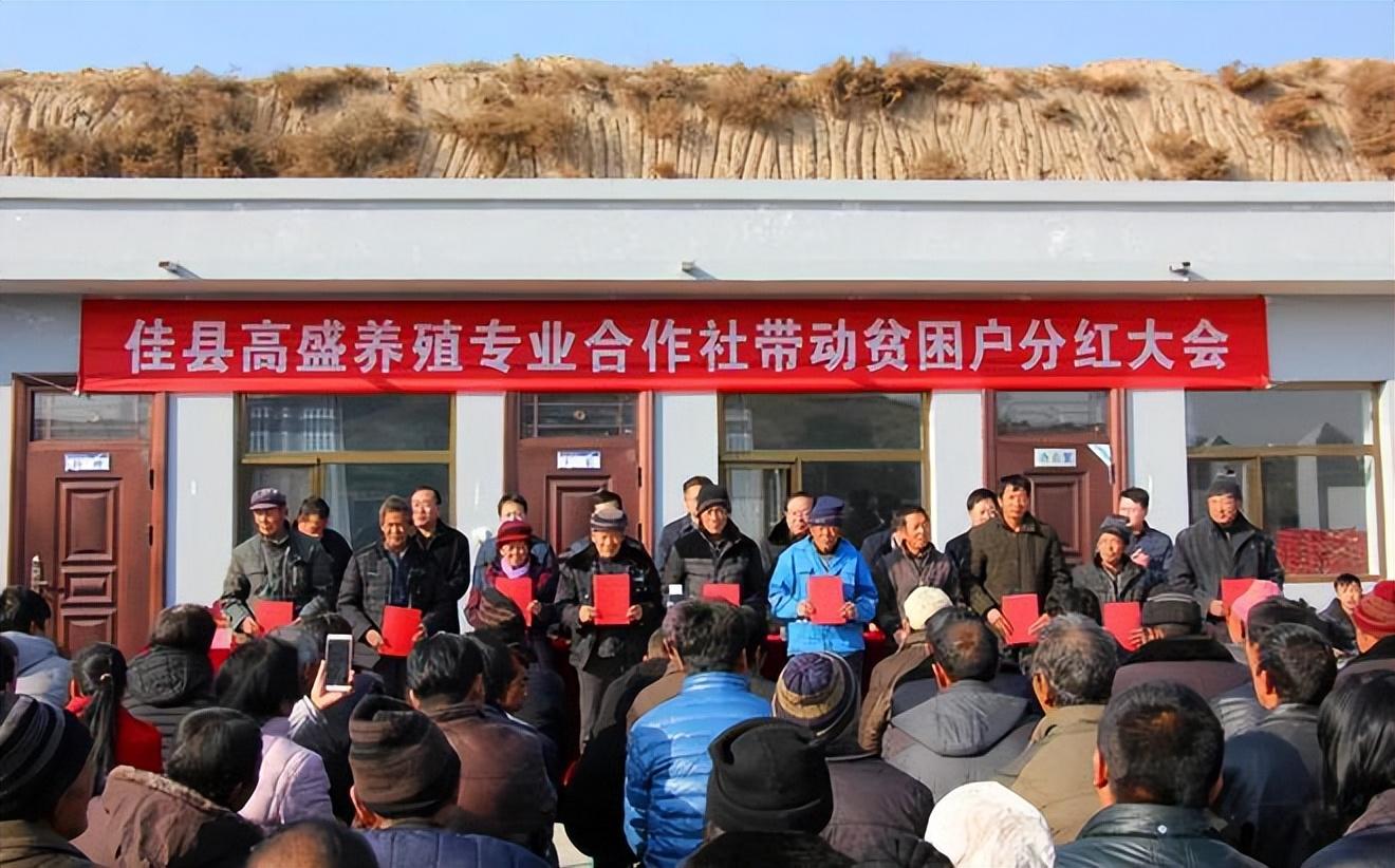养驴致富经_养驴的效益_致富经养驴