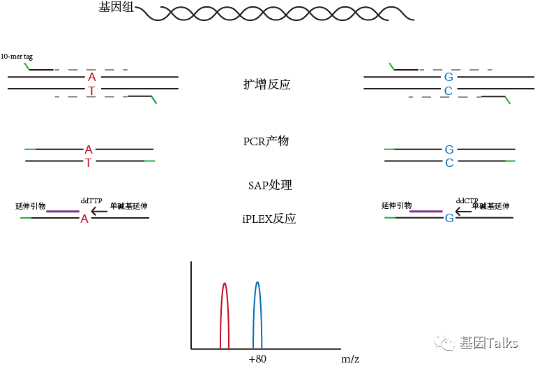 致富经虾_致富虾真的_致富经虾