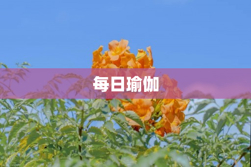 每日瑜伽