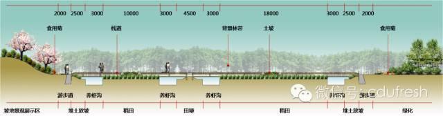 当下最流行的稻田养殖模式设计的要点