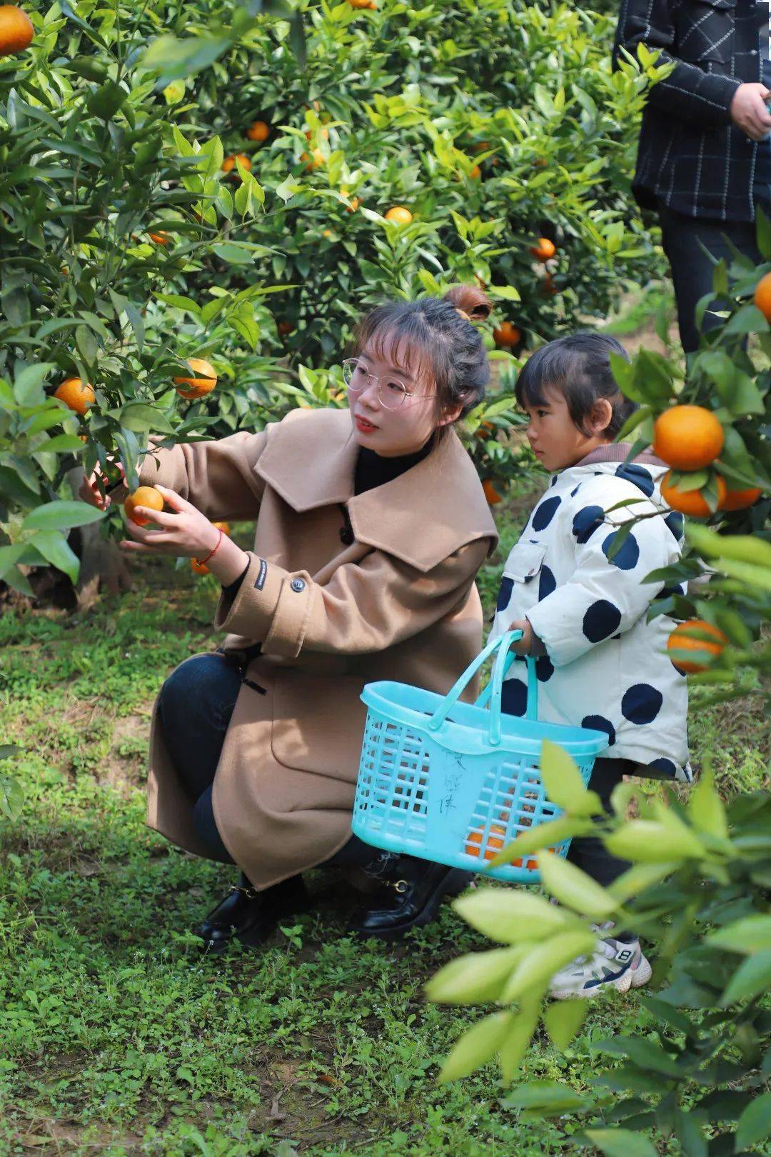 致富农村致富网致富门路_致富农村句子_农村致富经