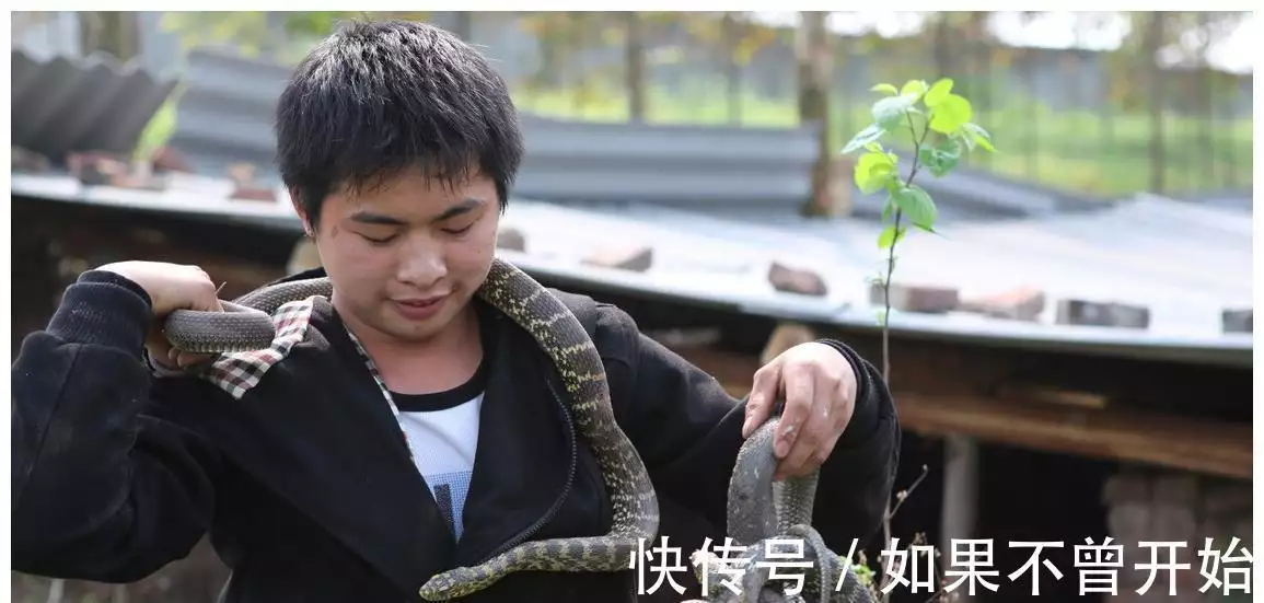 致富项目小本生意_致富经项目_致富项目农村