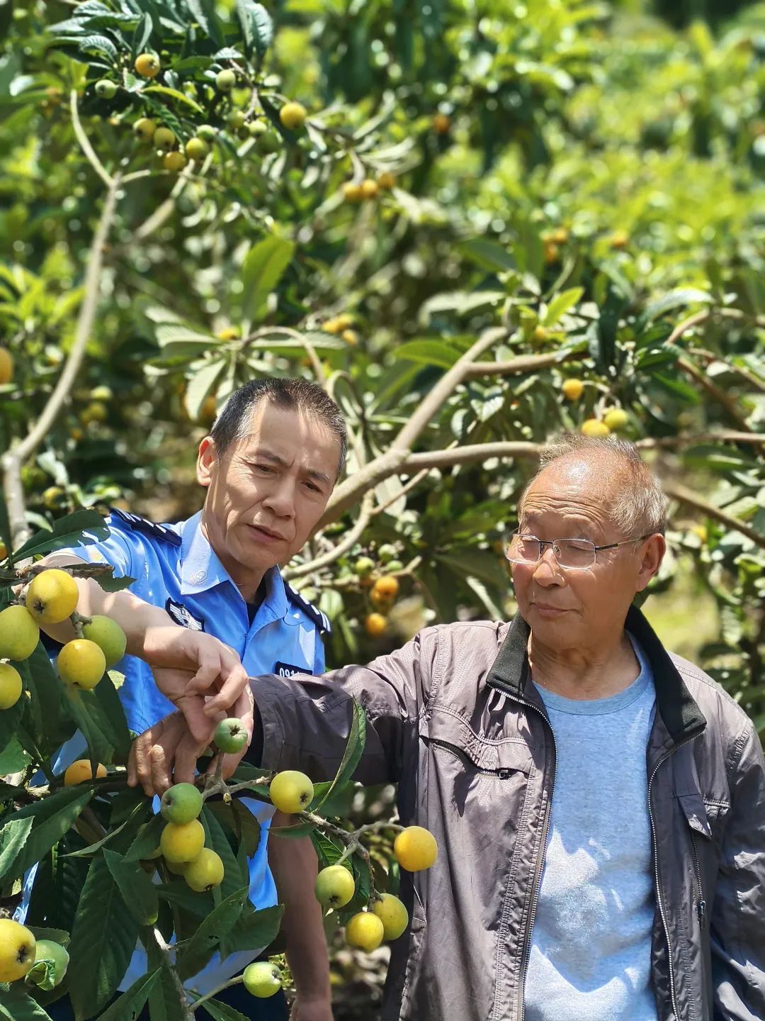 农民致富经_致富农民劳动的精神_致富农民李文龙