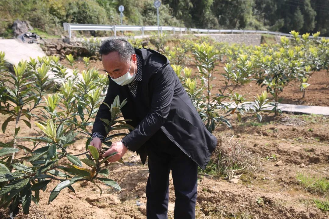 致富农民李文龙_农民致富经_致富农民劳动的精神