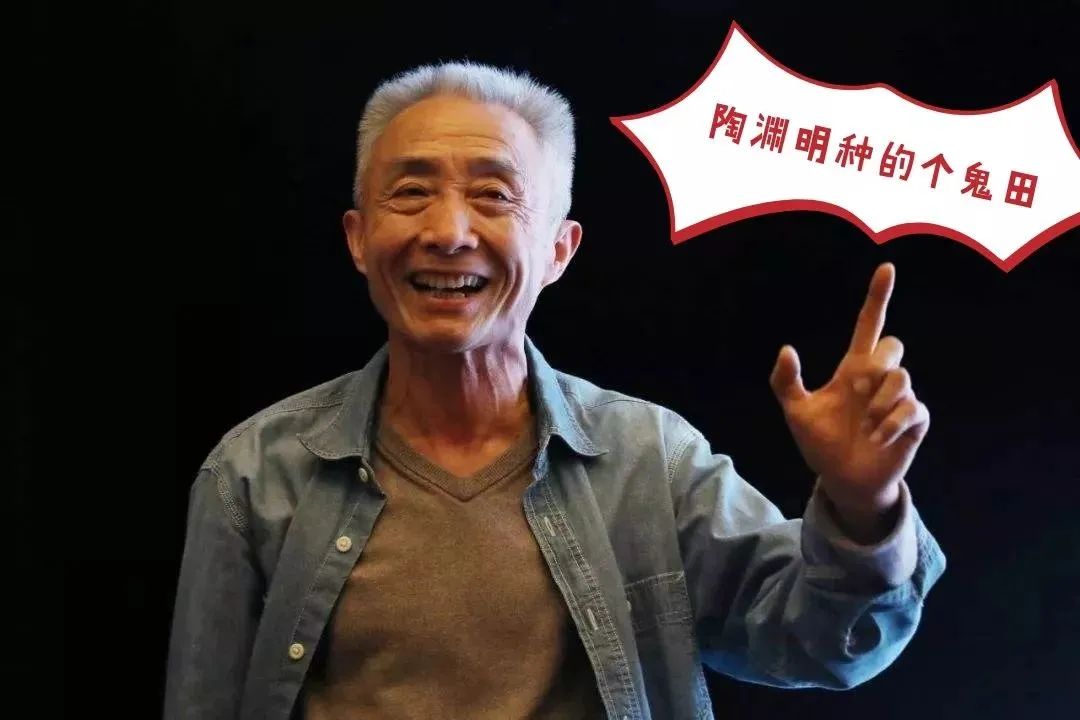 致富黄金叶_致富黄金果_致富经黄
