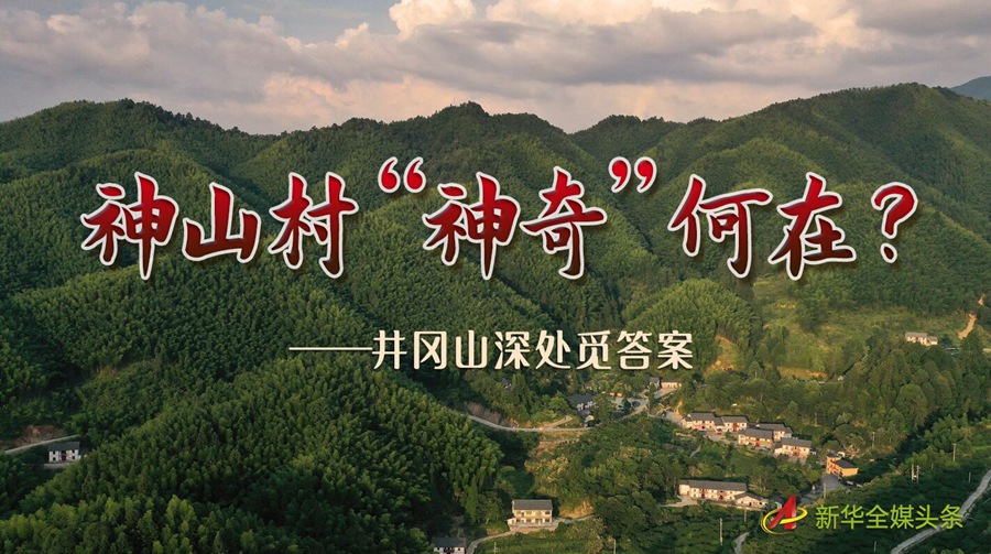 走向我们的小康生活丨神山村“神奇”何在？——井冈山深处觅答案