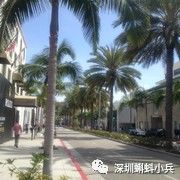 洛杉矶的college_洛杉矶学院排名_洛杉矶优质学院分享经验