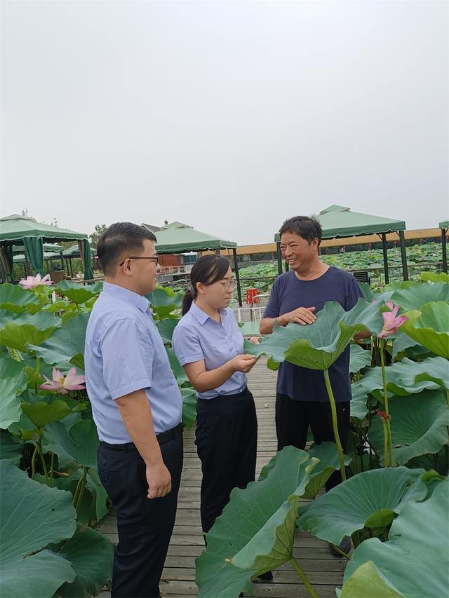 致富经甲鱼养殖视频_致富经甲鱼养殖技术视频_致富经甲鱼