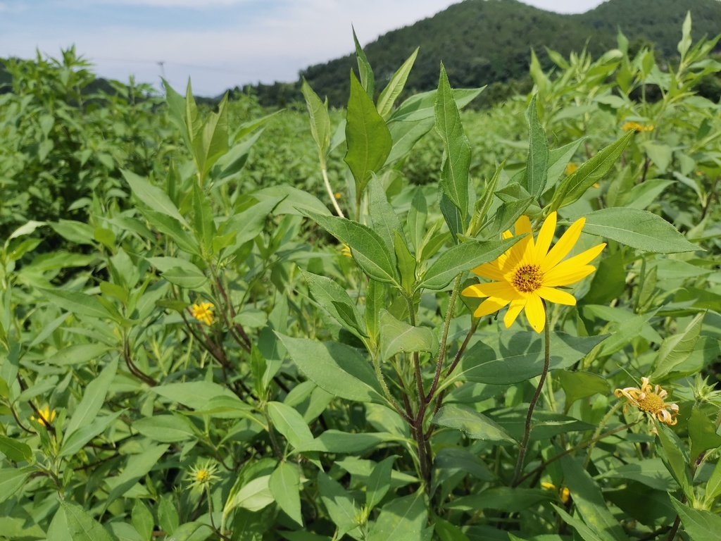 致富经全部视频创业项目_致富小视频加工厂_致富经视频