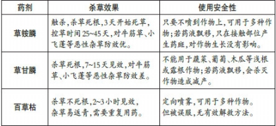 中央农业节目致富经视频_农业节目致富经_农业致富频道节目表