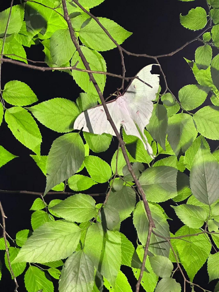 网课自学心得_网课经验心得_网上课程心得