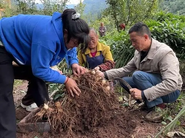 致富经兔子养殖_致富经养兔_致富养兔子