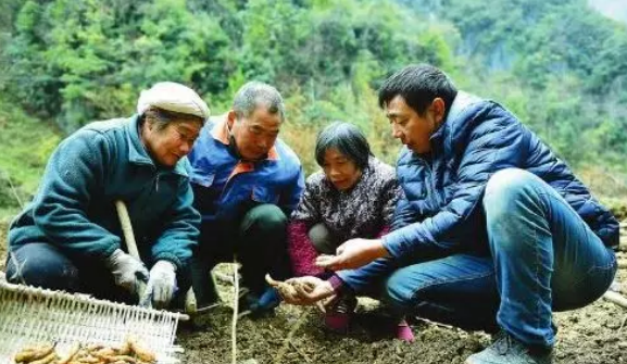 致富经养鸡视频大全_致富经养鸡_致富项目养鸡