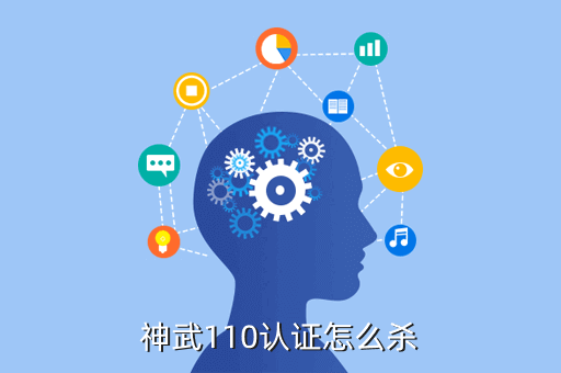 神武110认证怎么杀