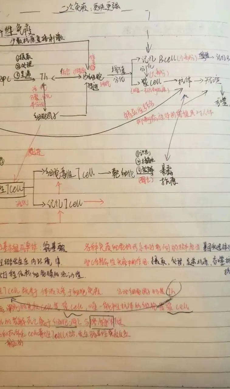 网课经验心得_网课自学心得_网上课程心得