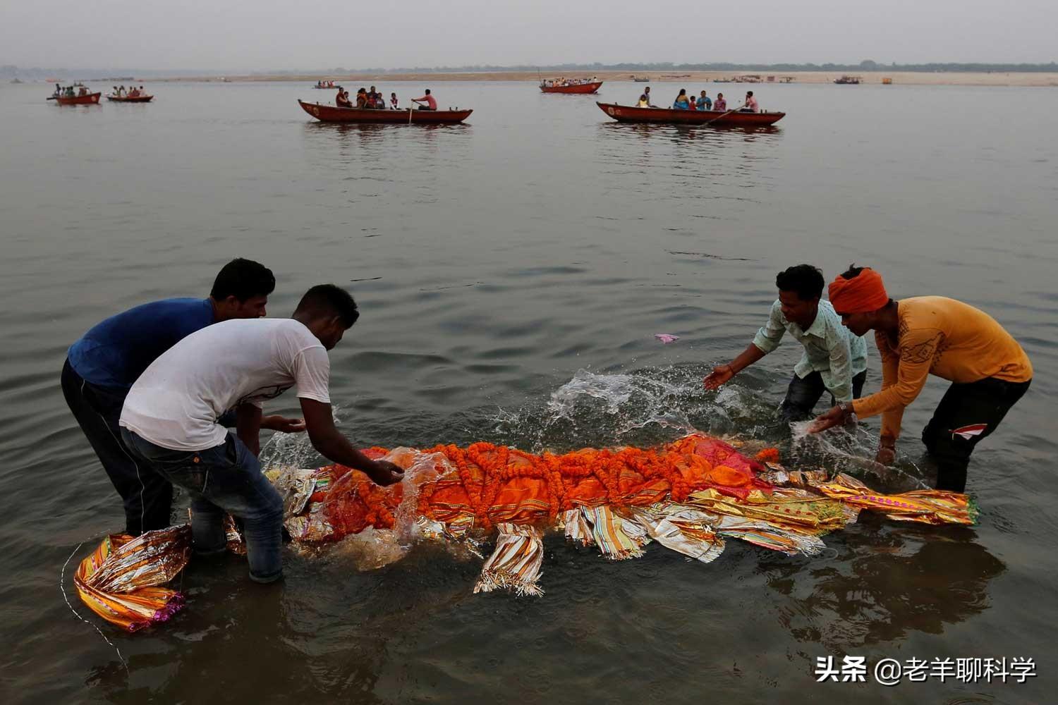 养甲鱼赚钱_致富经甲鱼养殖技术视频_致富经养甲鱼