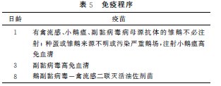 致富经鹅养殖技术视频_养殖鹅的视频_致富经养鹅视频