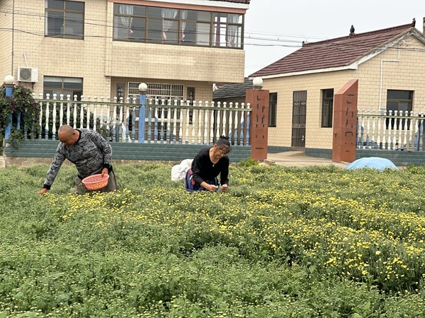 致富经 视频_视频致富经_致富经全部视频创业项目