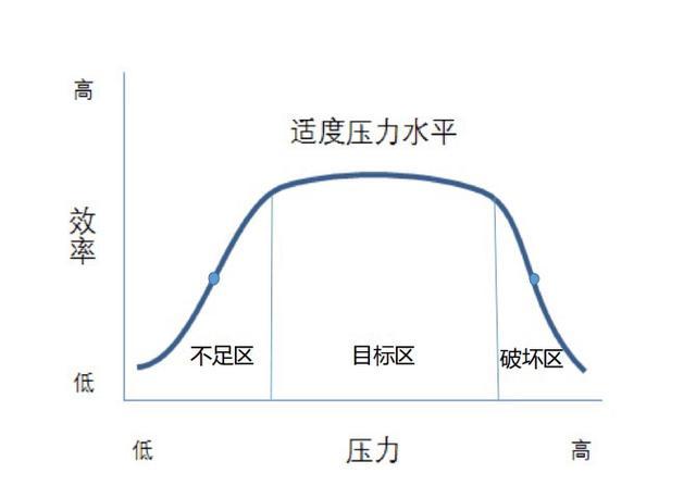 优质加v认证经验_优质加v认证经验_优质加v认证经验