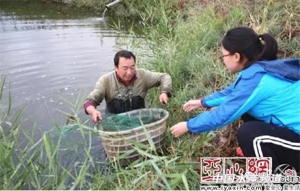 致富经虾_炒虾尾的虾是什么虾_致富虾真的