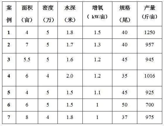 致富经虾_致富虾真的_炒虾尾的虾是什么虾