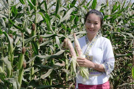 农民致富经_致富农民李文龙_致富农民劳动的精神