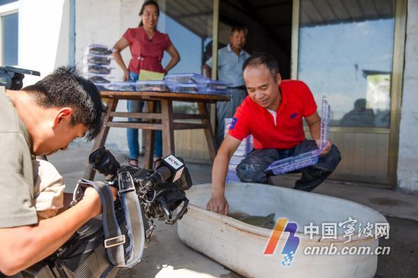 致富经甲鱼养殖技术视频_致富经甲鱼_致富甲鱼养殖技术