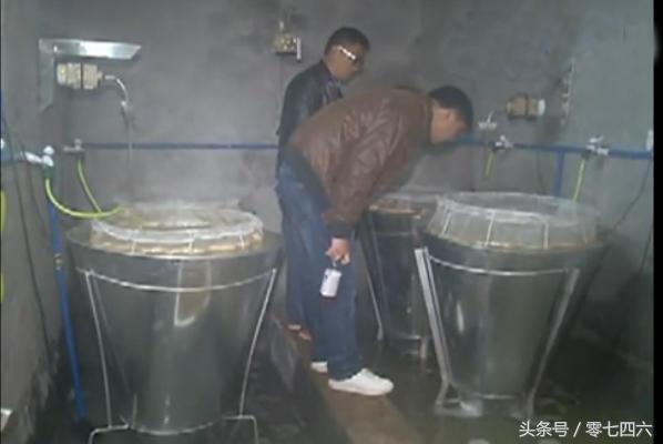 致富经泥鳅养殖_养殖泥鳅挣钱吗_致富养殖泥鳅图片