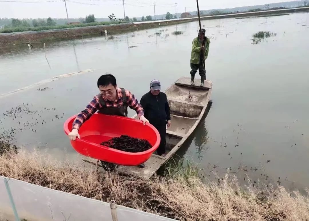 致富经小龙虾养殖视频播放_致富经小龙虾_致富经龙虾养殖视频全集