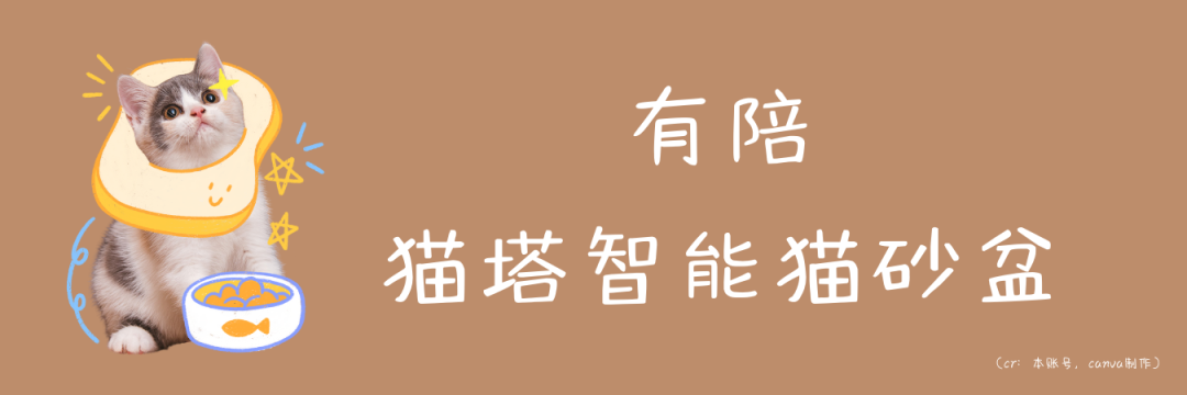 经验心得体会_心得体会经验总结_心得体会经验分享结束语怎么写