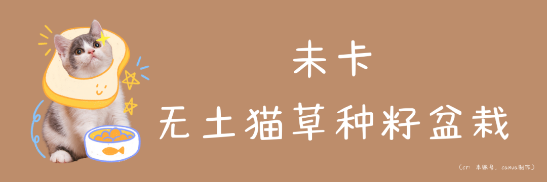 心得体会经验总结_经验心得体会_心得体会经验分享结束语怎么写