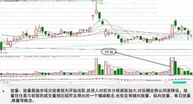 心得股民经验总结_股民经验心得_股民感悟