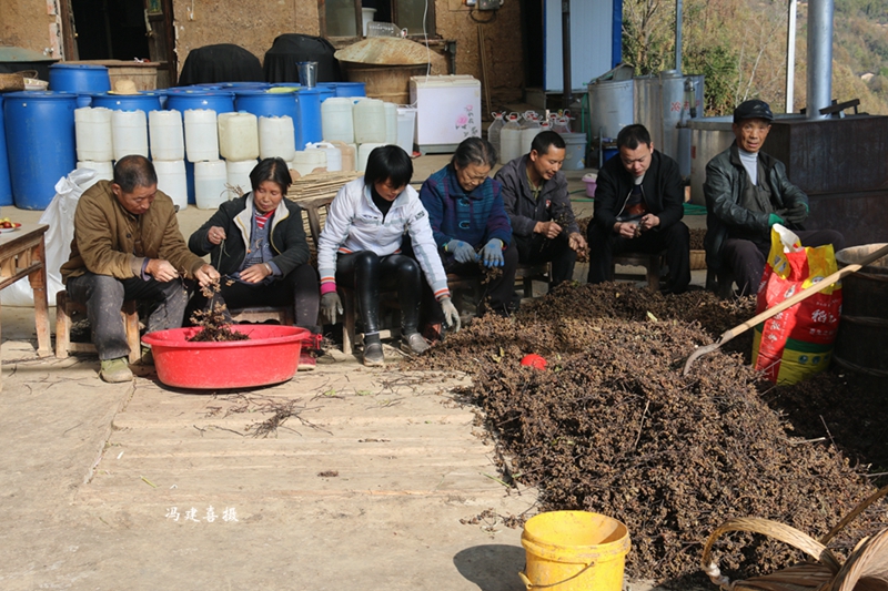 致富养猪场下载_致富经养猪_致富养猪如何玩