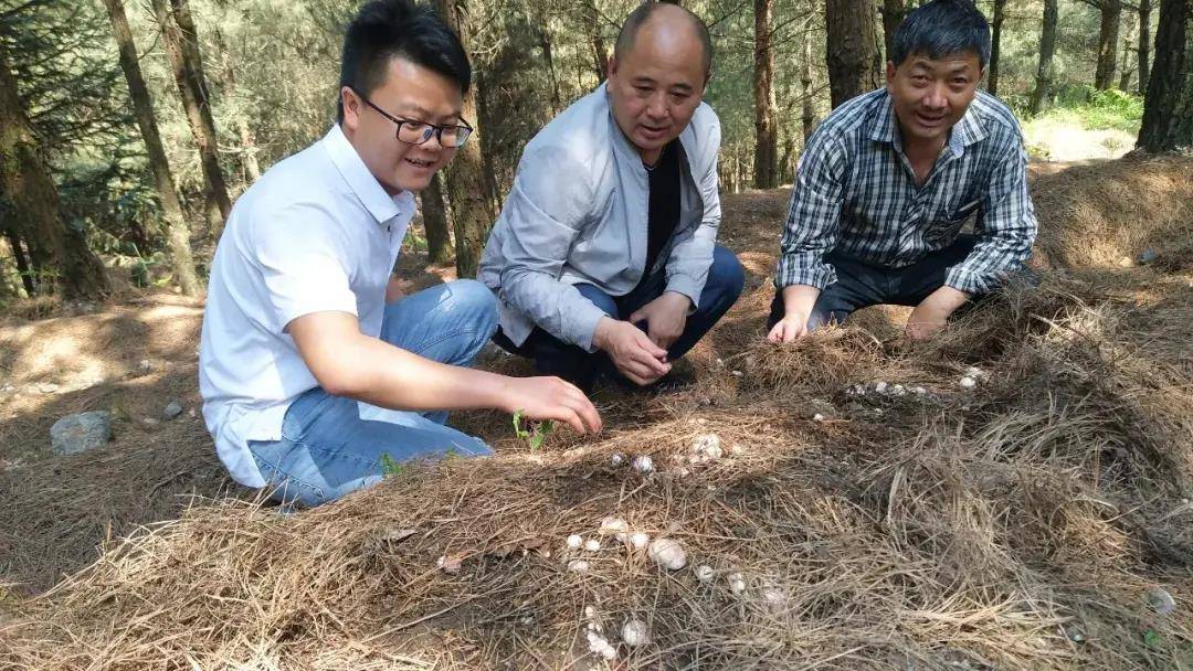 致富种植什么比较赚大钱_致富种植视频全集_致富经种植