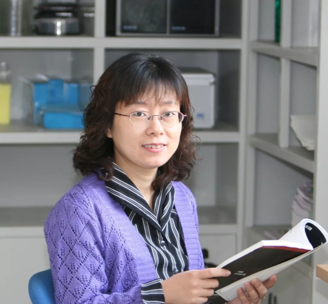 外研社优质课分享经验_外研版优质英语公开课_外研社小学英语优质课