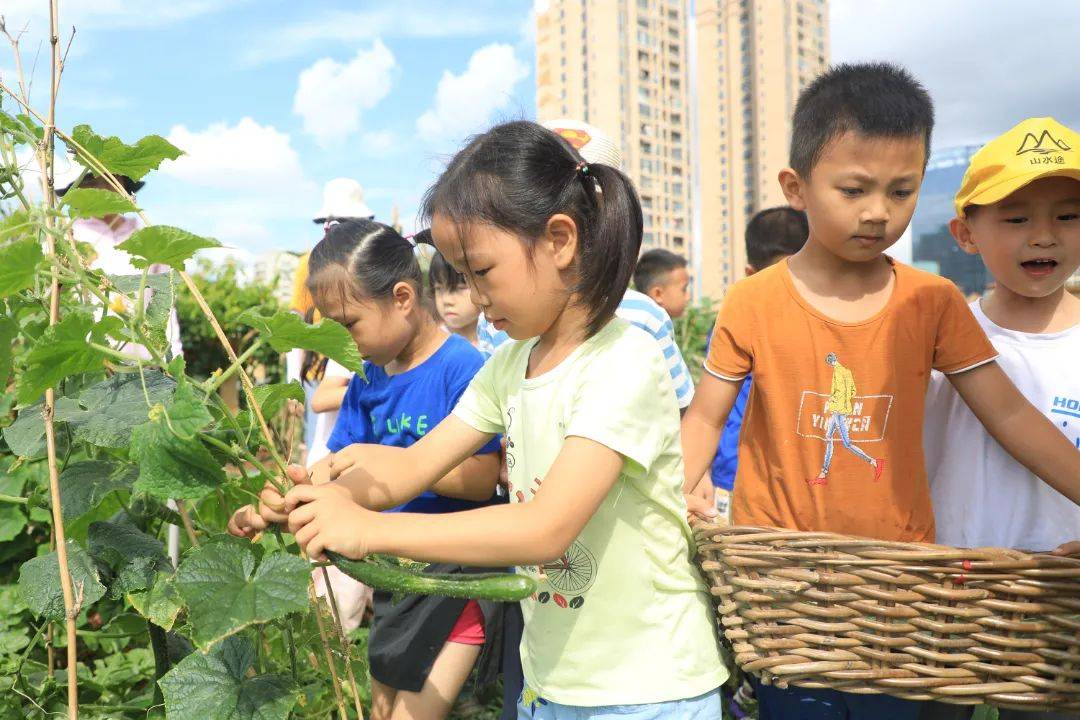 幼儿园办园条件优质_幼儿园优质办学经验_优质幼儿园的办园优势亮点