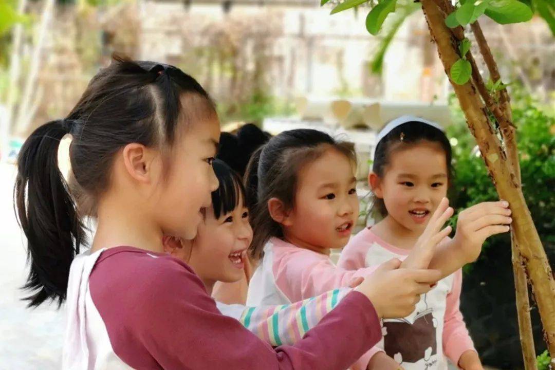 幼儿园办园条件优质_幼儿园优质办学经验_优质幼儿园的办园优势亮点