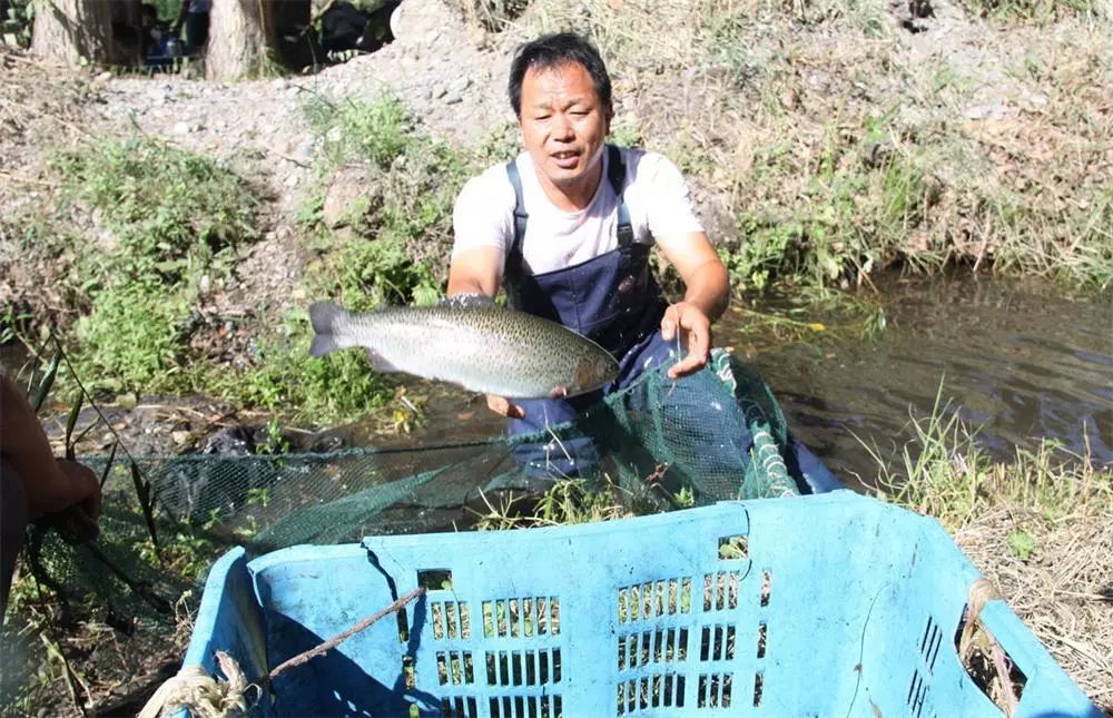 致富经养兔_致富养兔子_致富经养兔致富视频