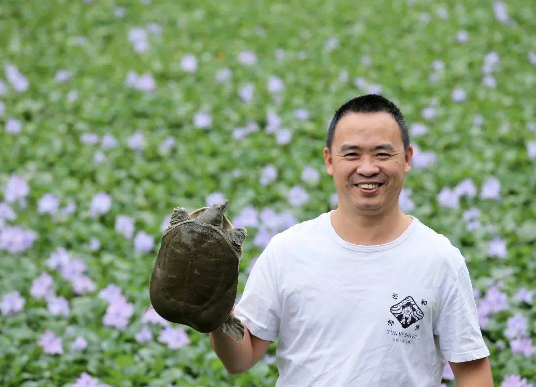 养殖甲鱼富豪_养甲鱼致富视频_致富经养甲鱼