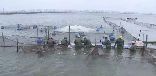 致富经20130102农视网_农视网致富经_致富频道