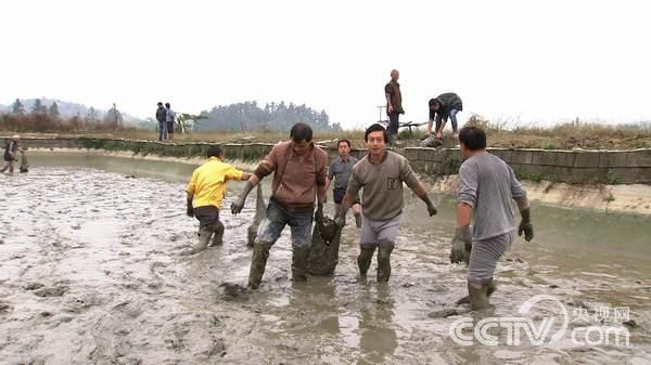 致富经养甲鱼_养甲鱼赚钱_致富经甲鱼养殖技术视频