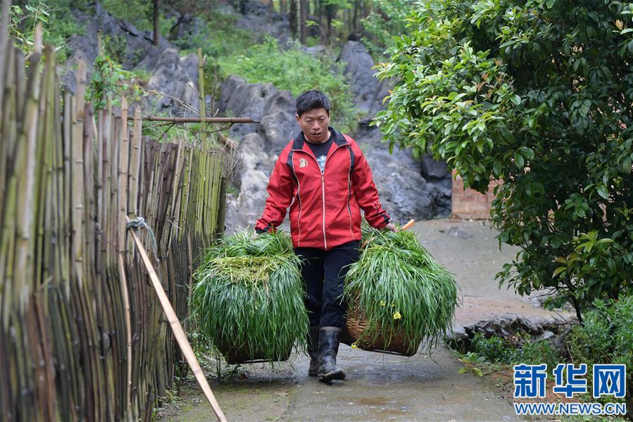 致富牛人_致富牛人阿福_致富经牛