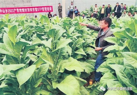 致富经羊_致富羊群满山跑_怎样致富致富