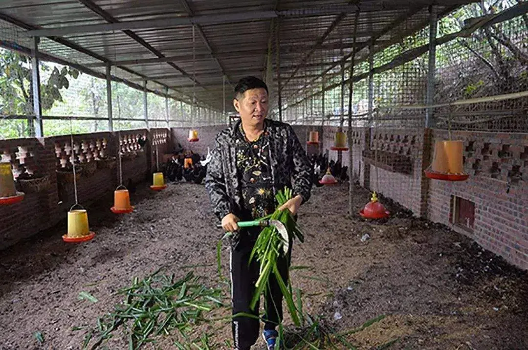 致富经.._怎样致富致富_农业致富好项目