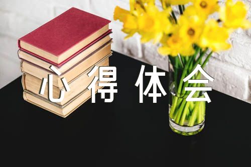 关于幼儿教师个人培养成长心得体会【四篇】