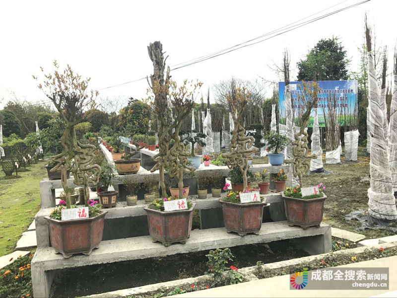 致富经一亩地赚40万_致富经2017_致富经
