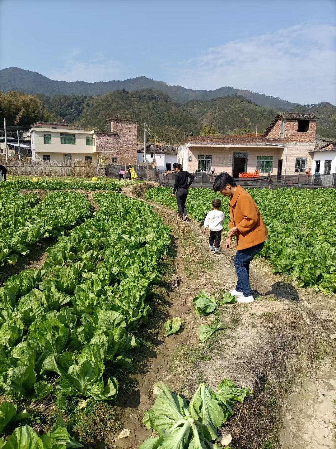 致富经养鱼视频大全集_养鱼致富经_致富养鱼视频