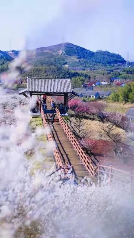 借鉴优质规划经验材料的意义_借鉴优质规划经验材料怎么写_借鉴优质规划经验材料